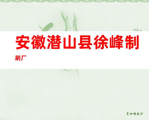 安徽潜山县徐峰制刷厂